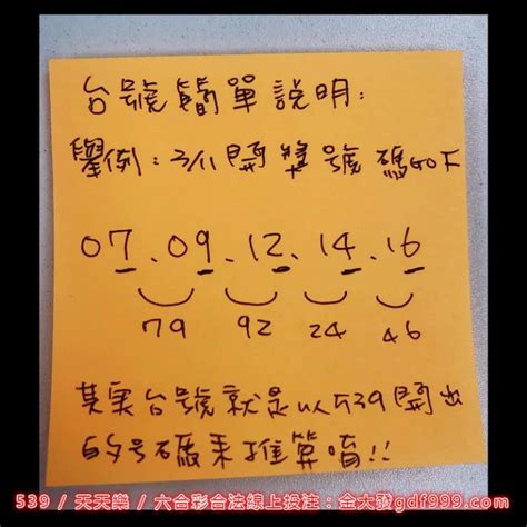 台號怎麼看|地下539玩法如何購買？秒懂連碰、坐車、台號怎麼玩